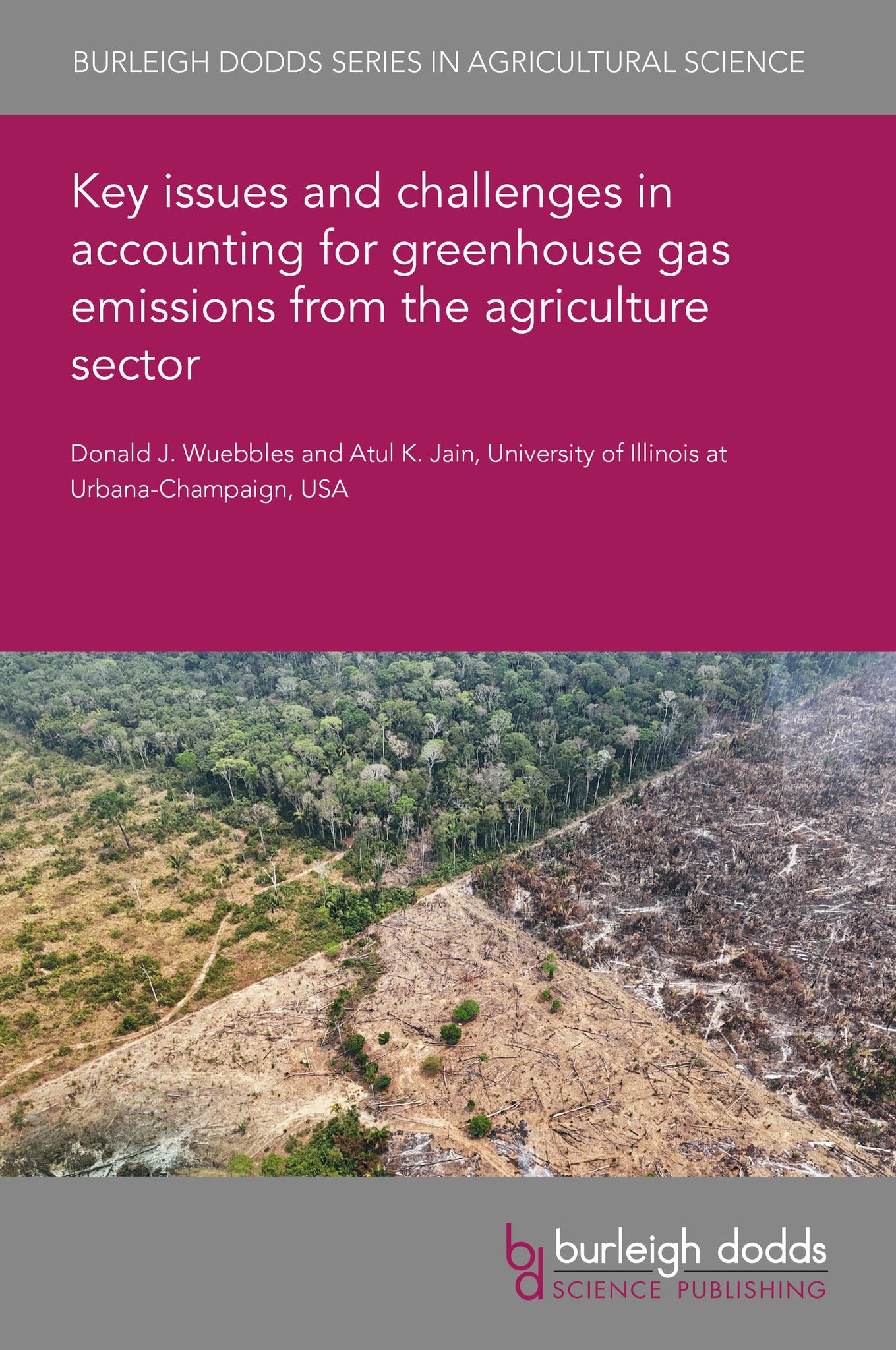 Cover image for Key issues and challenges in accounting for greenhouse gas emissions from the agriculture sector ISBN